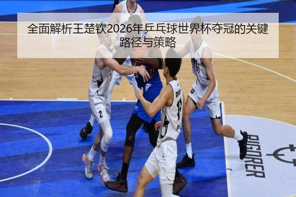 全面解析王楚钦2026年乒乓球世界杯夺冠的关键路径与策略（WEIDE SPORTS）